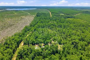 4586 Porter Pond Rd, Chipley, FL 32428 - Photo 29