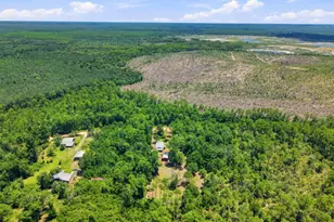 4586 Porter Pond Rd, Chipley, FL 32428 - Photo 31