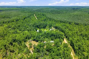 4586 Porter Pond Rd, Chipley, FL 32428 - Photo 33