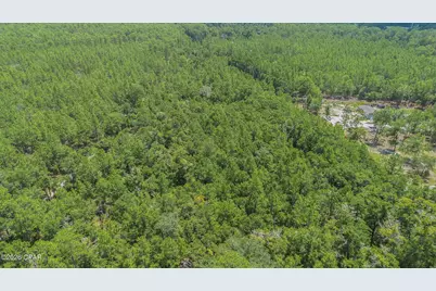 0 Ll Wallace Road, Tallahassee, FL 32305 - Photo 5
