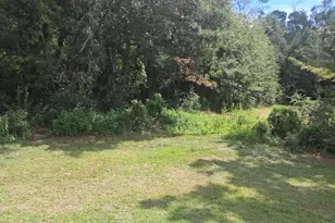 23277 Blue Star Hwy, Quincy, FL 32351 - Photo 29