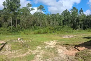 2469 Brooks Dr, Bonifay, FL 32425 - Photo 33