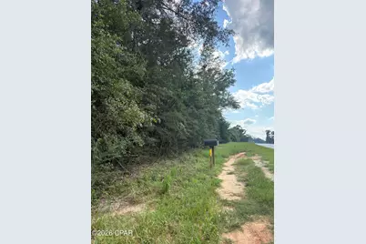 0 Kynesville Road, Cottondale, FL 32431 - Photo 5