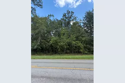 0 Kynesville Road, Cottondale, FL 32431 - Photo 3