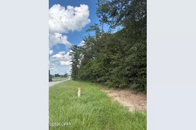 0 Kynesville Road, Cottondale, FL 32431 - Photo 1