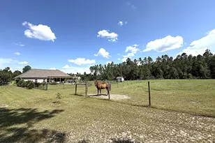 5845 Timacuan Trail, Greenwood, FL 32443 - Photo 69