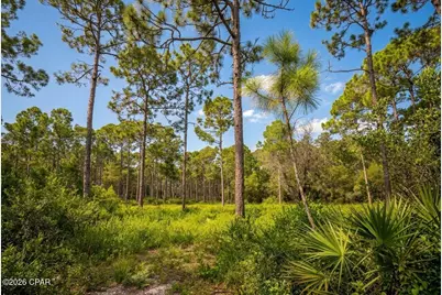 109 Via Italia, Panama City Beach, FL 32407 - Photo 3
