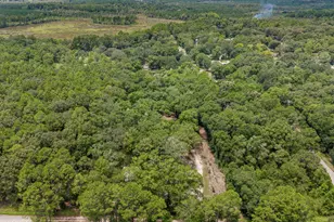 2494 Comet Ln, Bonifay, FL 32425 - Photo 29