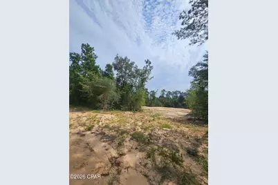 1225 Alene Drive, Alford, FL 32420 - Photo 1