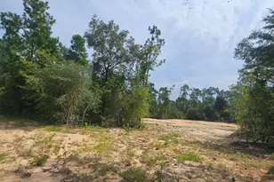 1225 Alene Dr, Alford, FL 32420 - Photo 1