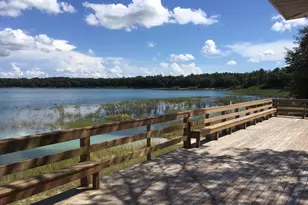 3445 Cardinal Pl, Chipley, FL 32428 - Photo 45