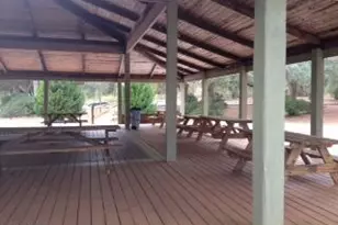 3445 Cardinal Pl, Chipley, FL 32428 - Photo 47