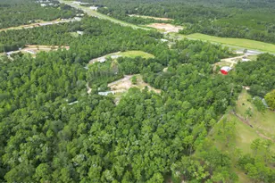 1838 Pettis Rd, Chipley, FL 32428 - Photo 13