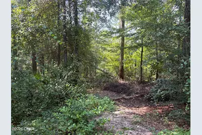 [Address not provided], Alford, FL 32420 - Photo 29
