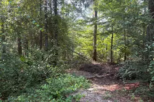 [Address not provided], Alford, FL 32420 - Photo 29