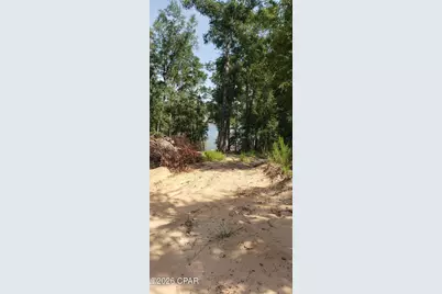 000 - 000 Woodymarion Drive #Lots 99 & 100, Chipley, FL 32428 - Photo 3
