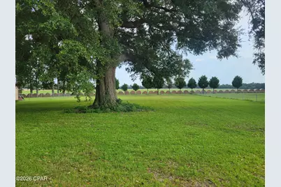5081 8th Avenue, Malone, FL 32445 - Photo 3