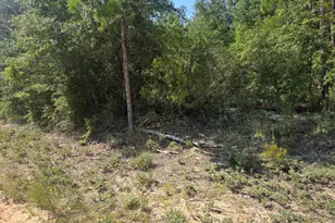 Lot 19 Dorcas Rd, Marianna, FL 32448 - Photo 1