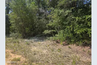 Lot 19 Dorcas Road, Marianna, FL 32448 - Photo 3