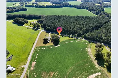5493 Ellaville Road, Campbellton, FL 32426 - Photo 5