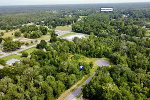 113 Little River Cir, Wewahitchka, FL 32465 - Photo 1