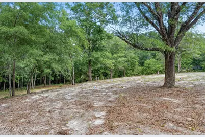 3513 River Road, Vernon, FL 32462 - Photo 9