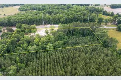 3513 River Road, Vernon, FL 32462 - Photo 3