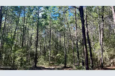 A Trawick Creek Road, Holt, FL 32564 - Photo 25