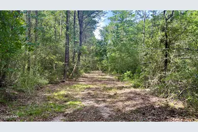 A Trawick Creek Road, Holt, FL 32564 - Photo 5