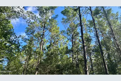 A Trawick Creek Road, Holt, FL 32564 - Photo 9