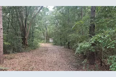 A Trawick Creek Road, Holt, FL 32564 - Photo 17