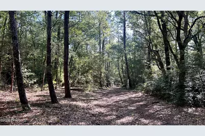 A Trawick Creek Road, Holt, FL 32564 - Photo 19