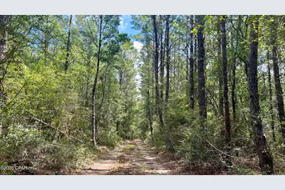A Trawick Creek Road, Holt, FL 32564 - Photo 29