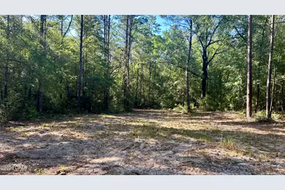 A Trawick Creek Road, Holt, FL 32564 - Photo 23