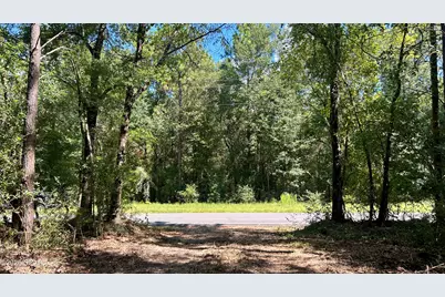 A Trawick Creek Road, Holt, FL 32564 - Photo 31