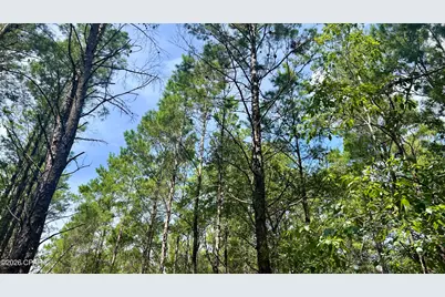 A Trawick Creek Road, Holt, FL 32564 - Photo 27