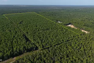 A Trawick Creek Rd, Holt, FL 32564 - Photo 1