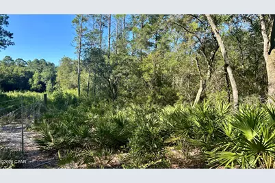 A Trawick Creek Road, Holt, FL 32564 - Photo 11