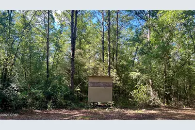B Trawick Creek Road, Holt, FL 32564 - Photo 11