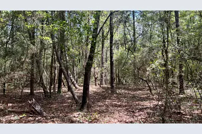 B Trawick Creek Road, Holt, FL 32564 - Photo 17
