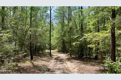 B Trawick Creek Road, Holt, FL 32564 - Photo 9