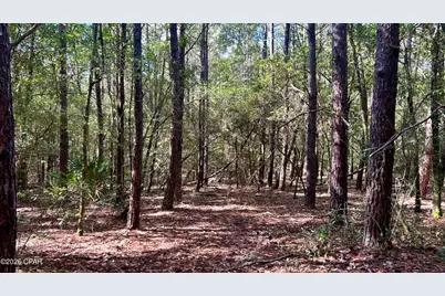 B Trawick Creek Road, Holt, FL 32564 - Photo 5