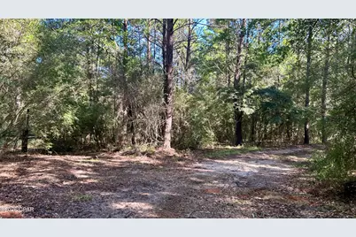 B Trawick Creek Road, Holt, FL 32564 - Photo 13