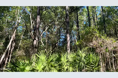 B Trawick Creek Road, Holt, FL 32564 - Photo 21