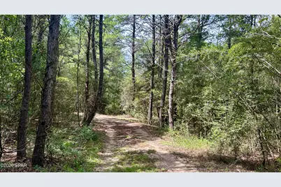 B Trawick Creek Road, Holt, FL 32564 - Photo 3