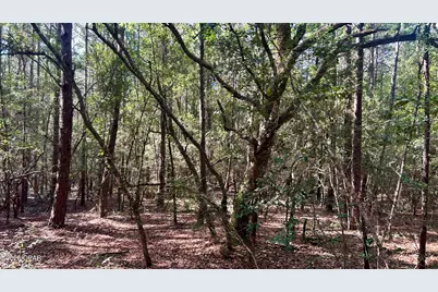 B Trawick Creek Road, Holt, FL 32564 - Photo 19