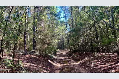 B Trawick Creek Road, Holt, FL 32564 - Photo 25