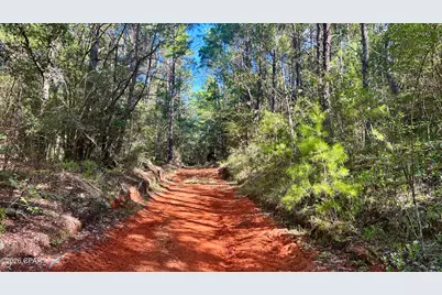 B Trawick Creek Road, Holt, FL 32564 - Photo 23