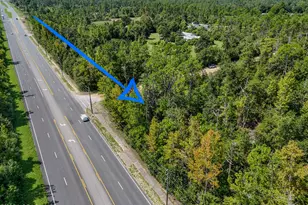 Tbd Hwy 231, Fountain, FL 32438 - Photo 1