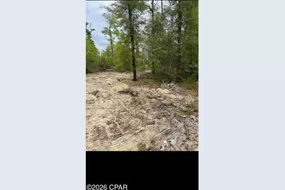 0000 Blue Springs Road, Youngstown, FL 32466 - Photo 3